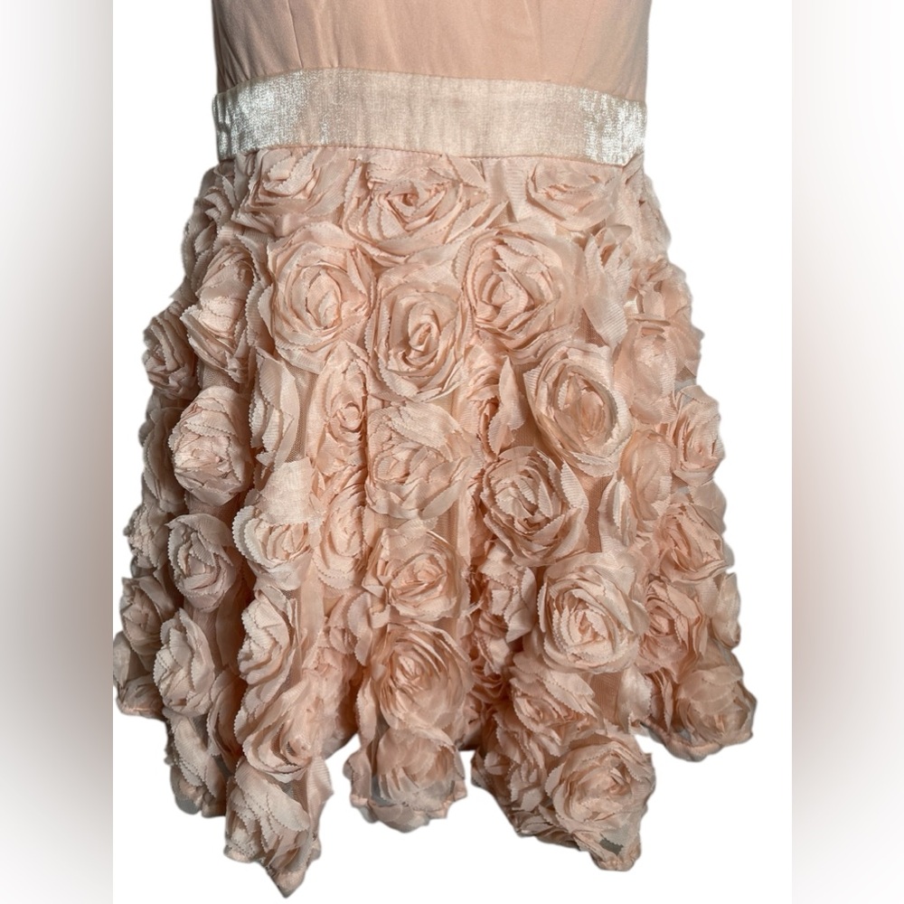 A Drea dress size small beautiful blush pink fit-n-flare sheer back mini dress‎ - Picture 7 of 10